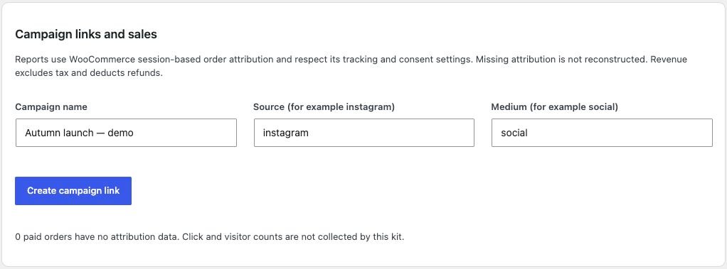 raffleWP campaign-link form with an example campaign name, Instagram source and social medium.